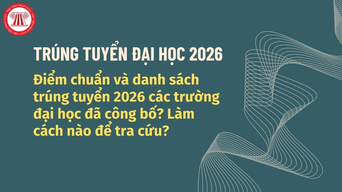 Pháp luật