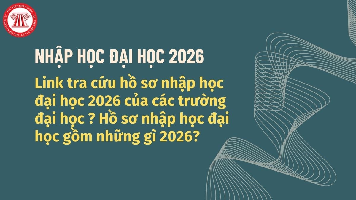 Pháp luật