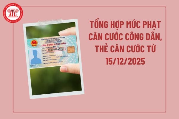 Pháp luật