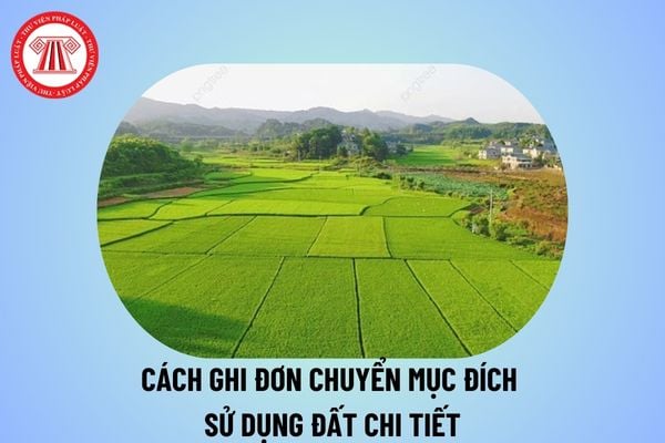 Cách ghi đơn xin chuyển mục đích sử dụng đất 2025? Mẫu 02 đơn xin chuyển mục đích sử dụng đất 2025 mới nhất?