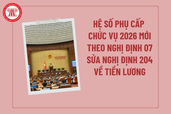 Pháp luật