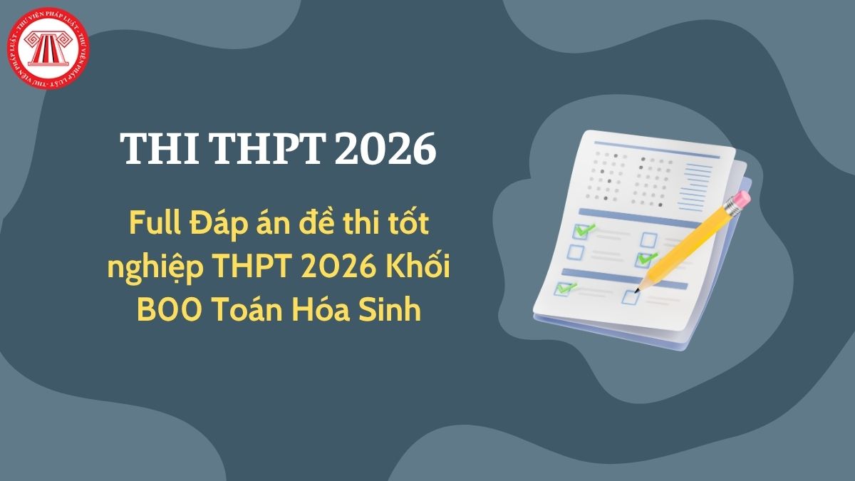 Pháp luật
