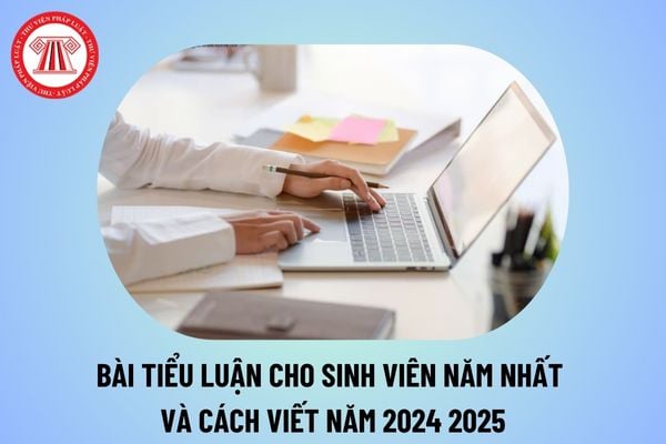 Cách viết tiểu luận cho sinh viên năm nhất 2024 2025? Bài tiểu luận mẫu của sinh viên hoàn chỉnh thế nào? 