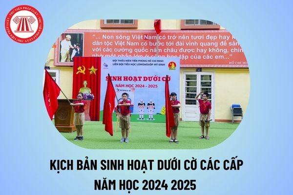 Kịch bản sinh hoạt dưới cờ năm học 2024 2025 các cấp? Lời dẫn chương trình sinh hoạt dưới cờ năm học 2024 2025?