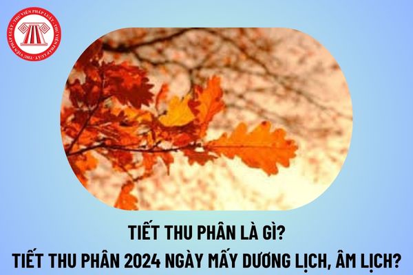 Tiết Thu phân là gì? Tiết Thu phân năm 2024 bắt đầu từ ngày nào? Tiết Thu phân 2024 ngày mấy Dương lịch, Âm lịch?