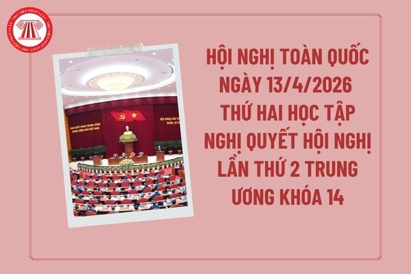 Pháp luật