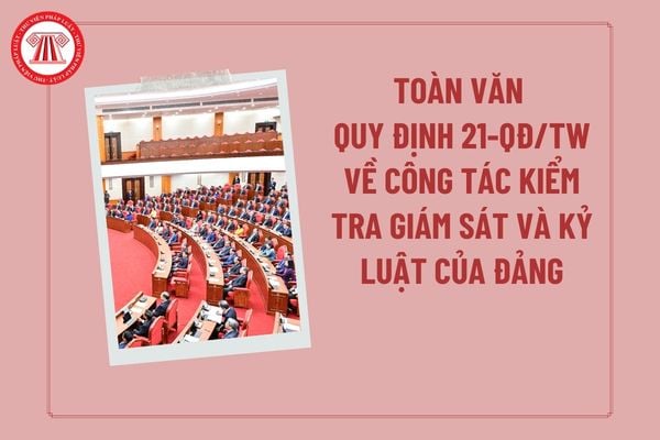 Pháp luật