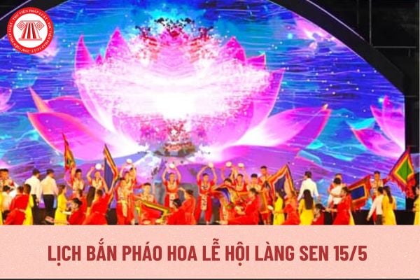 Pháp luật