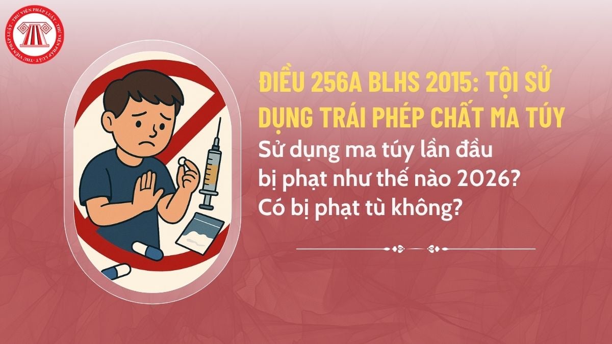 Pháp luật