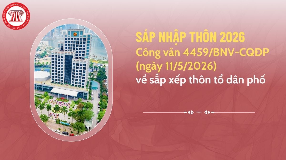 Pháp luật