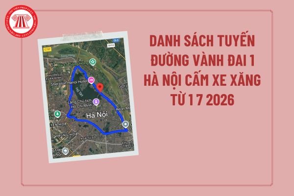 Pháp luật
