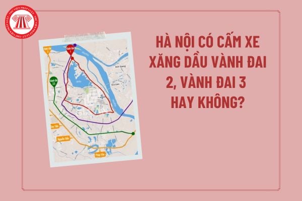 Pháp luật