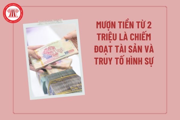 Pháp luật