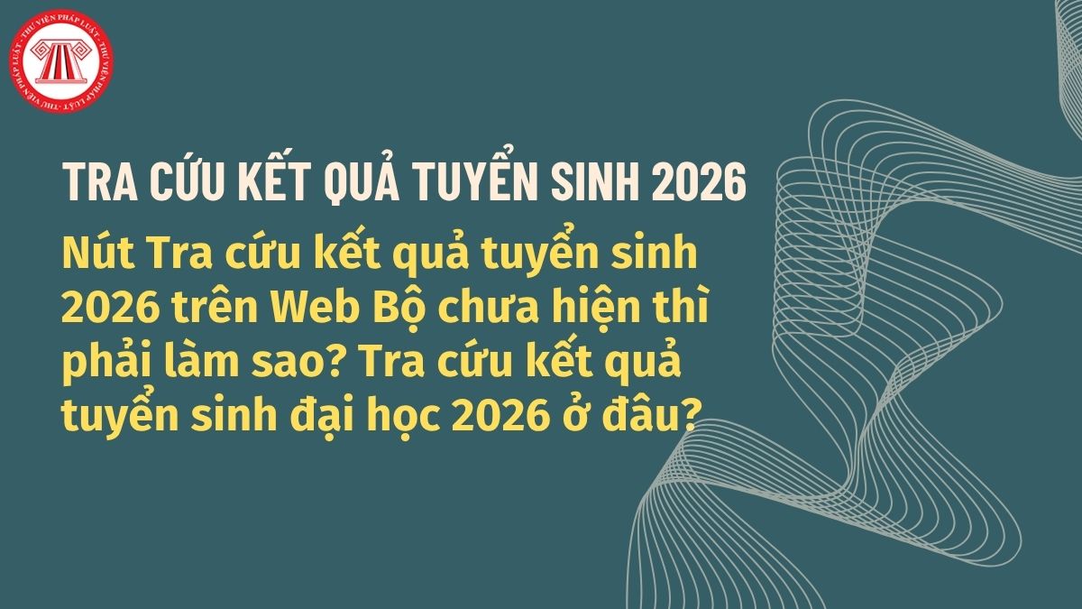 Pháp luật