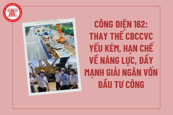 Pháp luật