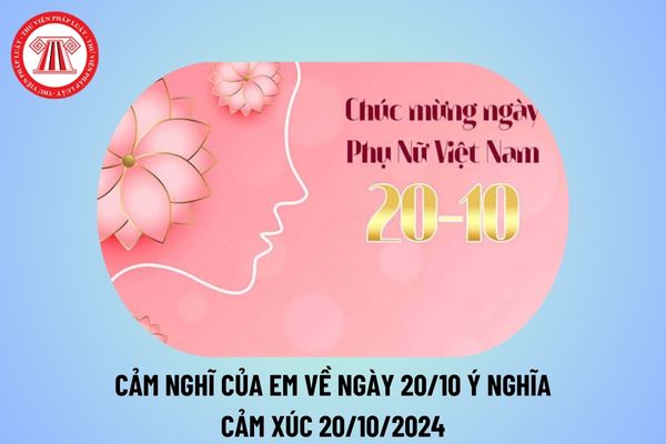 Cảm nghĩ của em về ngày 20 10 ngắn gọn? Cảm xúc 20 10 2024? Cảm nghĩ Ngày Phụ nữ Việt Nam 20 10 thế nào?