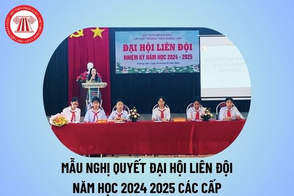 Mẫu Nghị quyết Đại hội Liên đội năm học 2024 2025 các cấp? Nghị quyết Đại hội Liên đội nhiệm kì 2024 2025 chi tiết?