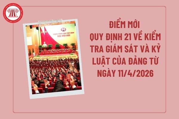 Pháp luật