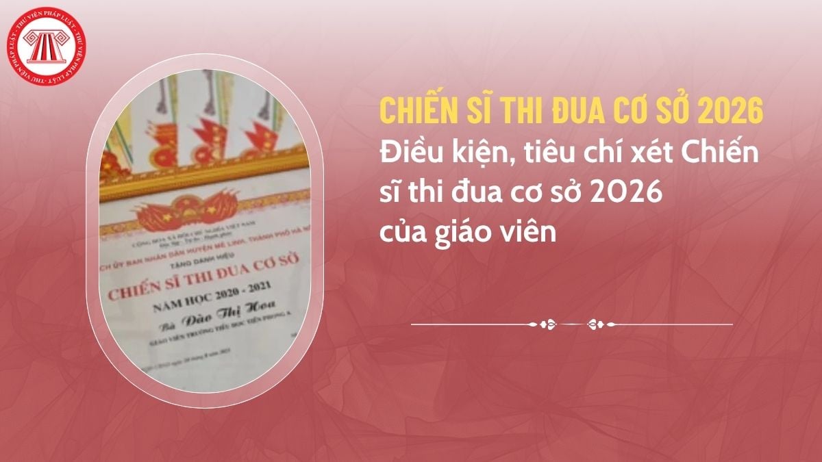 Pháp luật