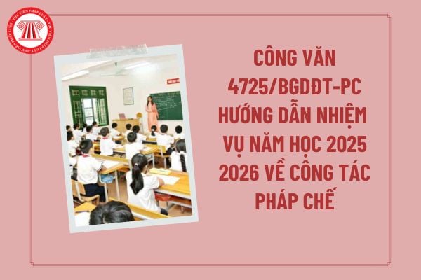 Pháp luật