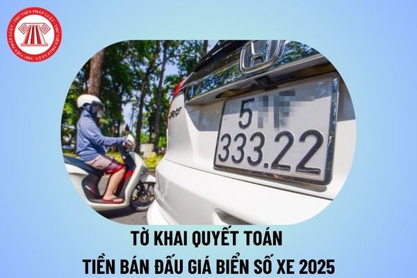 Tờ khai quyết toán tiền bán đấu giá biển số xe mới nhất 2025? Thủ tục hủy kết quả trúng đấu giá thế nào?