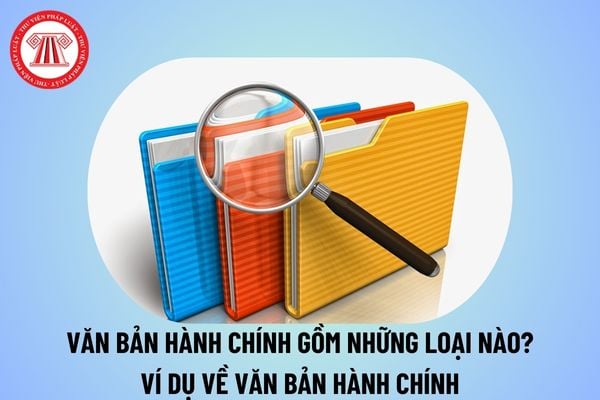 Văn bản hành chính gồm những loại nào? Ví dụ về văn bản hành chính? Văn bản hành chính có bao nhiêu loại?