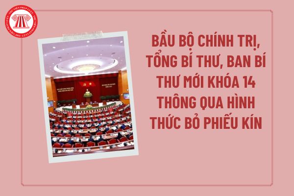 Pháp luật