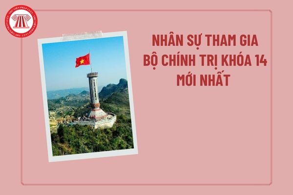Pháp luật