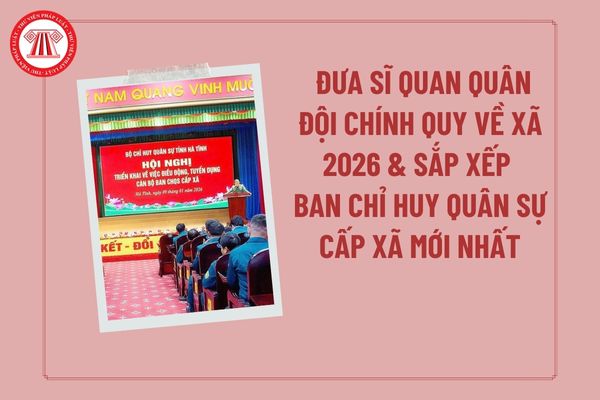 Pháp luật