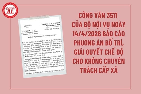 Pháp luật