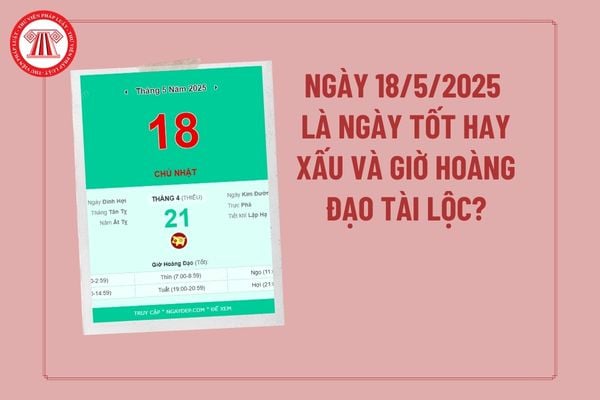 Pháp luật