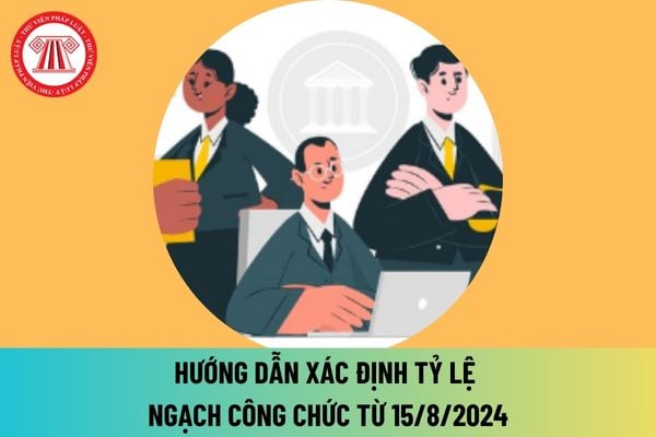 Hướng dẫn xác định tỷ lệ ngạch công chức từ 15/8/2024? Những điểm mới của tỷ lệ ngạch công chức ra sao? 