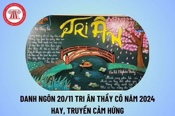 Danh ngôn 20 11 tri ân thầy cô năm 2024 hay, ý nghĩa? Danh ngôn về thầy cô giáo nhân ngày 20 11 truyền cảm hứng?