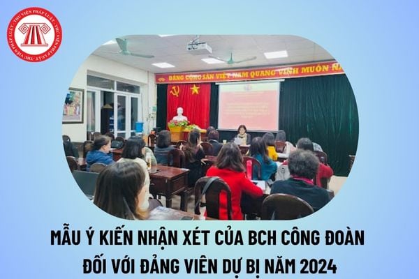 Mẫu ý kiến nhận xét của BCH công đoàn đối với Đảng viên dự bị năm 2024? Ý kiến nhận xét của công đoàn đối với Đảng viên dự bị? 