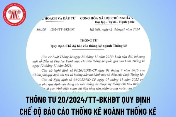 Thông tư 20/2024 quy định chế độ báo cáo thống kê ngành Thống kê từ 01/01/2025 của Bộ Kế hoạch và Đầu tư thế nào?