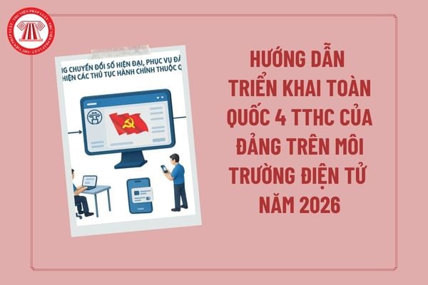 Pháp luật