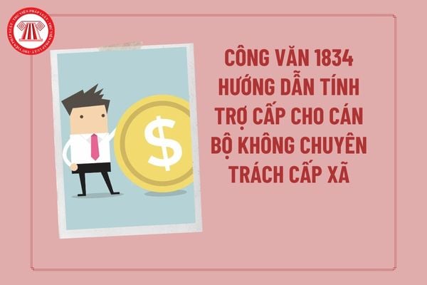 Pháp luật