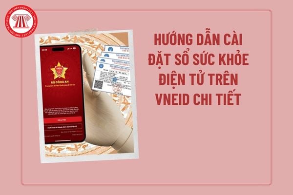 Pháp luật