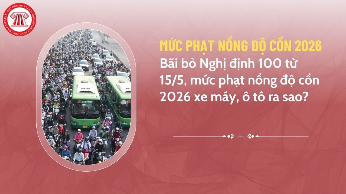 Pháp luật