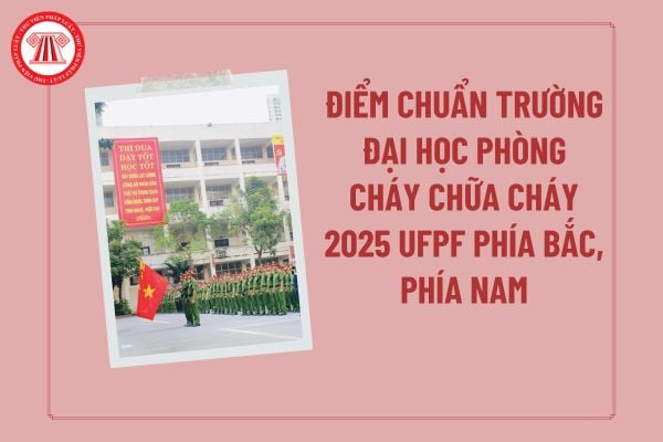 Pháp luật