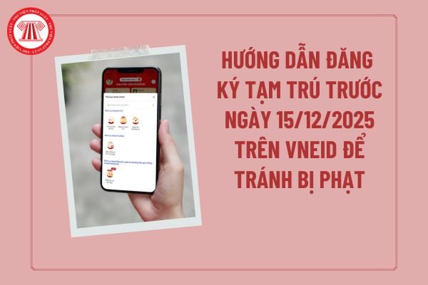 Pháp luật