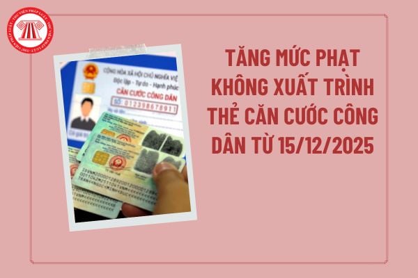 Pháp luật