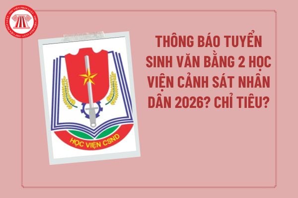Pháp luật