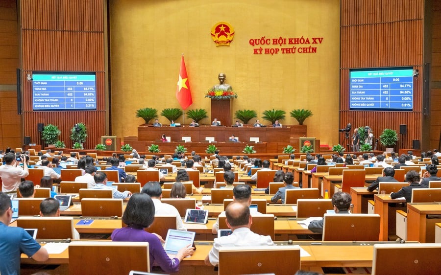 Pháp luật