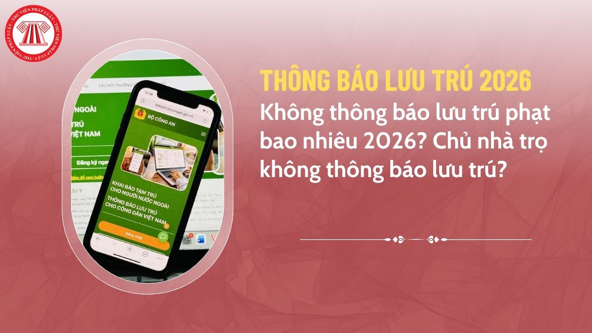 Pháp luật