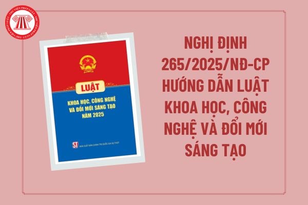Pháp luật