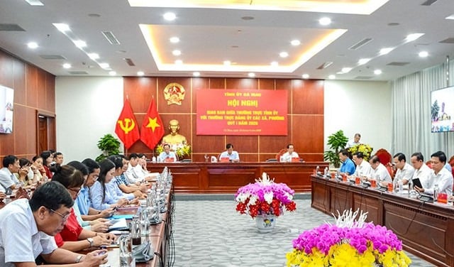 Pháp luật