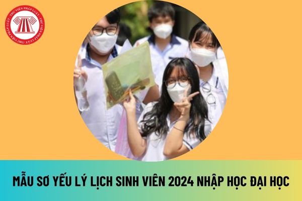 Mẫu sơ yếu lý lịch sinh viên 2024 mới nhất file word dùng để nhập học đại học? Tải mẫu sơ yếu lý lịch sinh viên ở đâu?