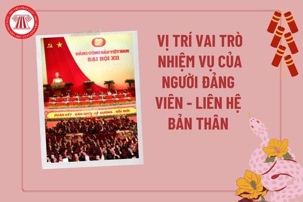 Pháp luật