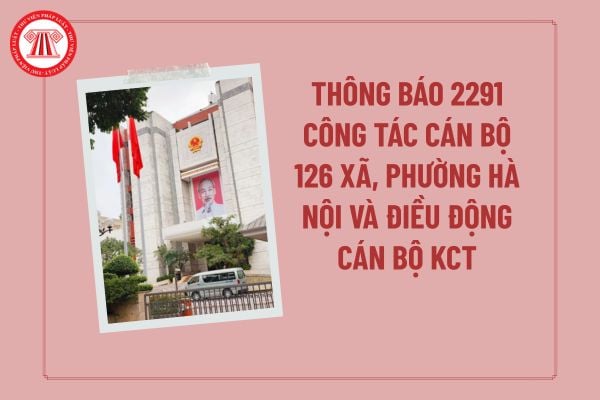 Pháp luật